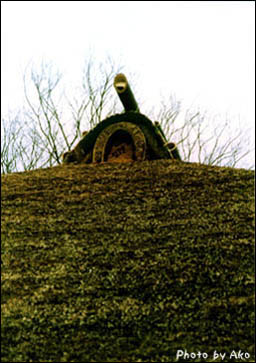 thatched