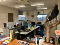 ���������i�@