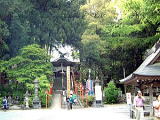 莛
